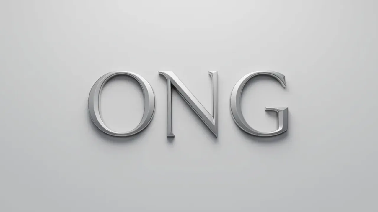 ONG Meaning: Defining the Non-Governmental Organization Acronym